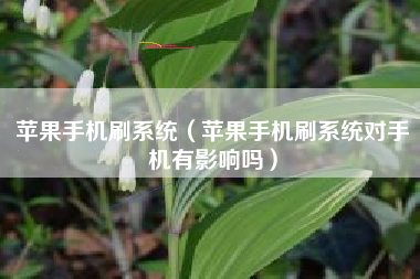 苹果手机刷系统（苹果手机刷系统对手机有影响吗）