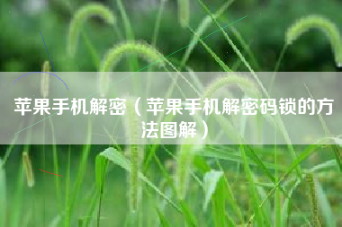 苹果手机解密（苹果手机解密码锁的方法图解）