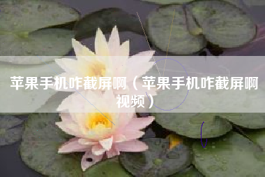 苹果手机咋截屏啊（苹果手机咋截屏啊视频）