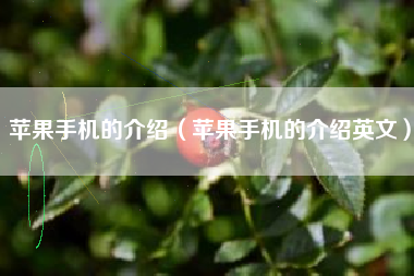 苹果手机的介绍（苹果手机的介绍英文）