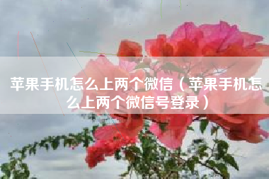 苹果手机怎么上两个微信（苹果手机怎么上两个微信号登录）