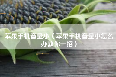 苹果手机音量小（苹果手机音量小怎么办教你一招）