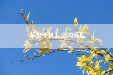 苹果手机怎么调亮度