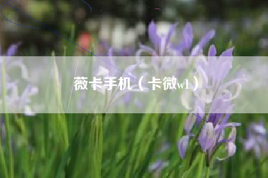 薇卡手机（卡微w1）