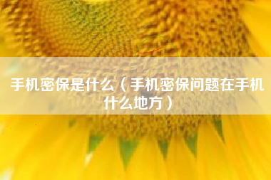 手机密保是什么（手机密保问题在手机什么地方）