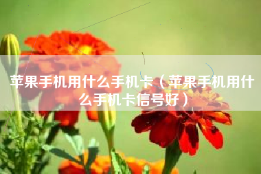 苹果手机用什么手机卡（苹果手机用什么手机卡信号好）