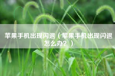 苹果手机出现闪退（苹果手机出现闪退怎么办？）