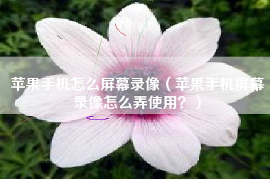 苹果手机怎么屏幕录像（苹果手机屏幕录像怎么弄使用？）