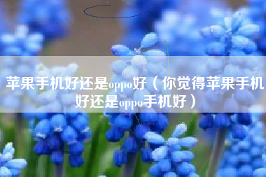 苹果手机好还是oppo好（你觉得苹果手机好还是oppo手机好）