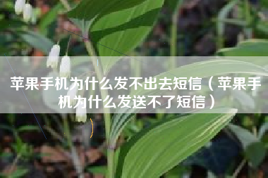 苹果手机为什么发不出去短信（苹果手机为什么发送不了短信）