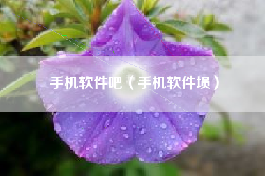 手机软件吧（手机软件埙）