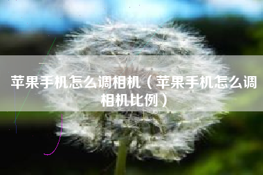 苹果手机怎么调相机（苹果手机怎么调相机比例）