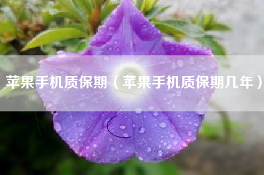 苹果手机质保期（苹果手机质保期几年）