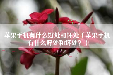 苹果手机有什么好处和坏处（苹果手机有什么好处和坏处？）