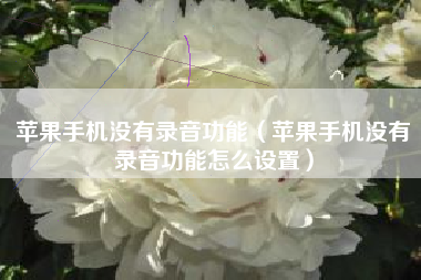 苹果手机没有录音功能（苹果手机没有录音功能怎么设置）