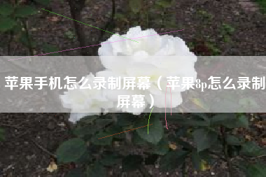 苹果手机怎么录制屏幕（苹果8p怎么录制屏幕）