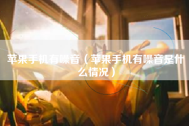 苹果手机有噪音（苹果手机有噪音是什么情况）