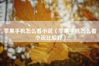 苹果手机怎么看小说（苹果手机怎么看小说比较好）