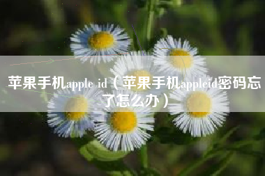 苹果手机apple id（苹果手机appleid密码忘了怎么办）