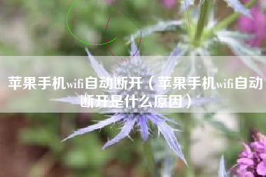 苹果手机wifi自动断开（苹果手机wifi自动断开是什么原因）