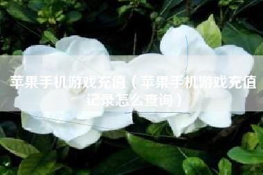 苹果手机游戏充值（苹果手机游戏充值记录怎么查询）