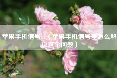 苹果手机信号1x（苹果手机信号差怎么解决这个问题）