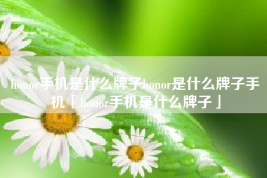 honor手机是什么牌子honor是什么牌子手机「honor手机是什么牌子」