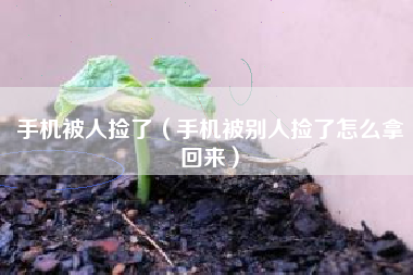 手机被人捡了（手机被别人捡了怎么拿回来）