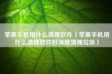 苹果手机用什么清理软件（苹果手机用什么清理软件好深度清理垃圾）