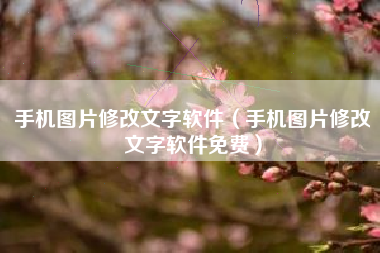 手机图片修改文字软件（手机图片修改文字软件免费）