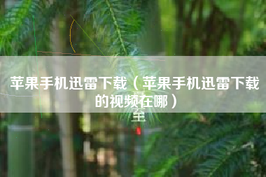 苹果手机迅雷下载（苹果手机迅雷下载的视频在哪）