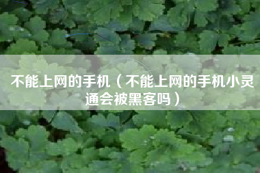 不能上网的手机（不能上网的手机小灵通会被黑客吗）