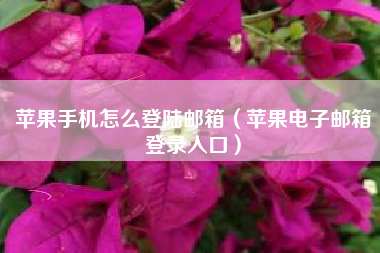 苹果手机怎么登陆邮箱（苹果电子邮箱登录入口）