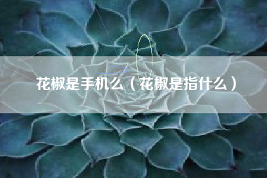 花椒是手机么（花椒是指什么）