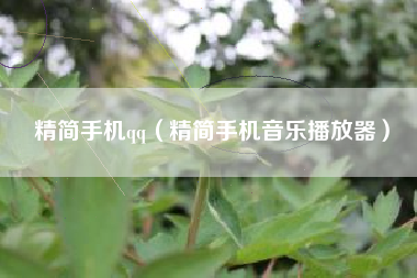 精简手机qq（精简手机音乐播放器）