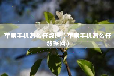 苹果手机怎么开数据（苹果手机怎么开数据网）