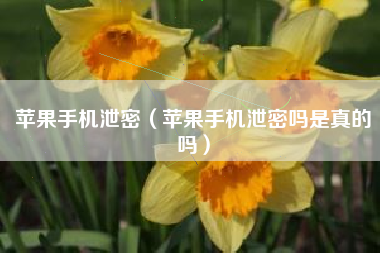 苹果手机泄密（苹果手机泄密吗是真的吗）