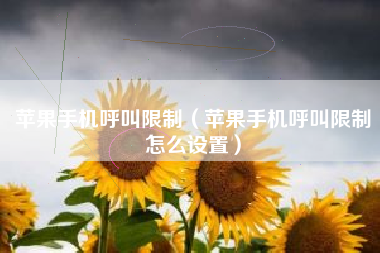 苹果手机呼叫限制（苹果手机呼叫限制怎么设置）