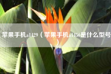 苹果手机a1429（苹果手机a1456是什么型号）