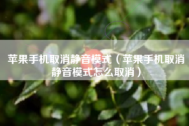 苹果手机取消静音模式（苹果手机取消静音模式怎么取消）