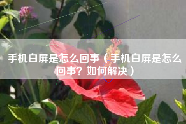 手机白屏是怎么回事（手机白屏是怎么回事？如何解决）