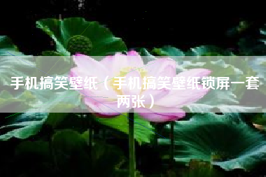 手机搞笑壁纸（手机搞笑壁纸锁屏一套两张）