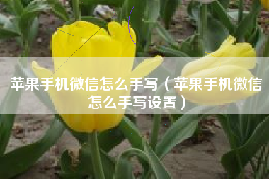 苹果手机微信怎么手写（苹果手机微信怎么手写设置）