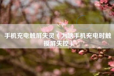 手机充电触屏失灵（为啥手机充电时触摸屏失控）