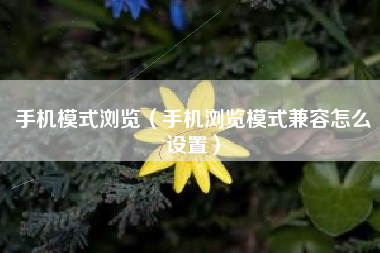 手机模式浏览（手机浏览模式兼容怎么设置）