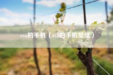 eva的手机（eva的手机壁纸）