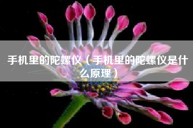 手机里的陀螺仪（手机里的陀螺仪是什么原理）