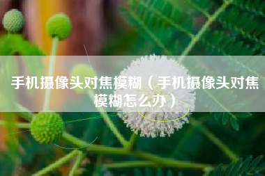 手机摄像头对焦模糊（手机摄像头对焦模糊怎么办）