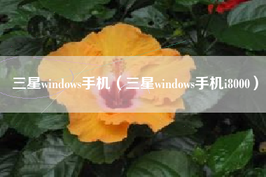 三星windows手机（三星windows手机i8000）