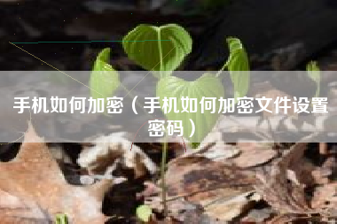 手机如何加密（手机如何加密文件设置密码）